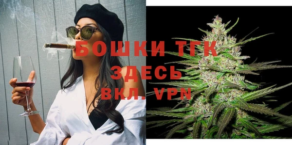 мдпв Тихвин