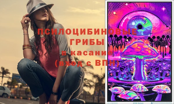 шишки Волосово